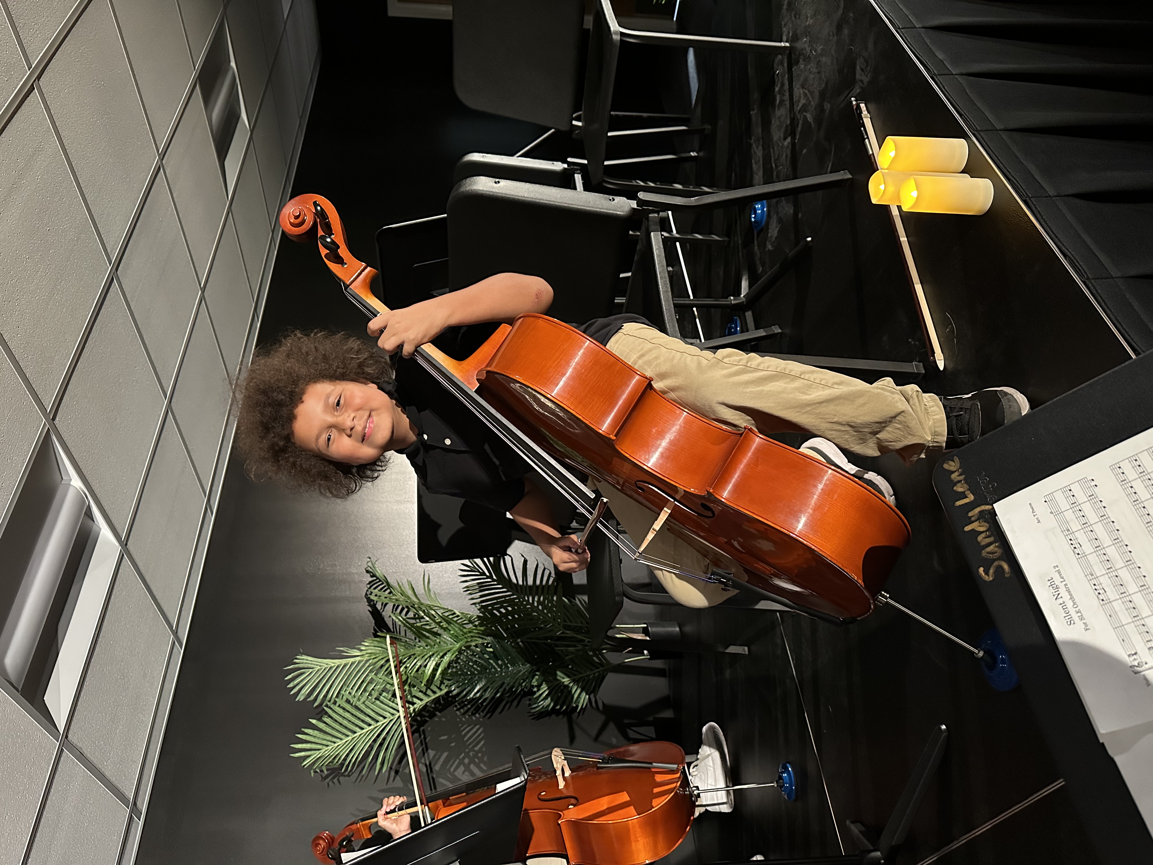 violin